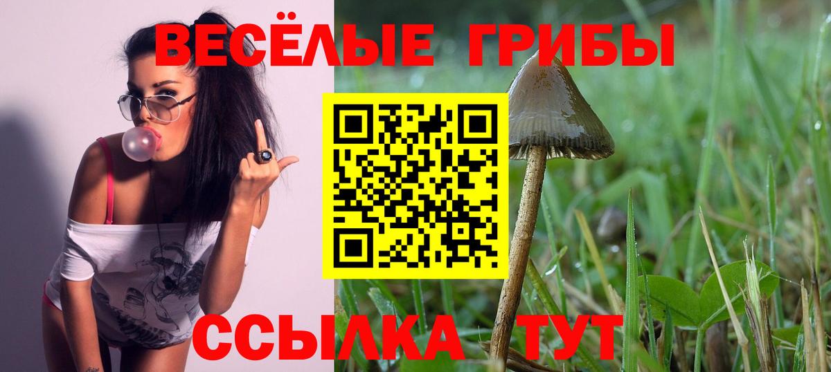Камышин  Галлюциногенные грибы прущие грибы  Вход с VPN 